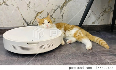 A cute red cat is resting her head on a robot vacuum cleaner A cute red cat is resting her head on a robot vacuum cleaner 133829522