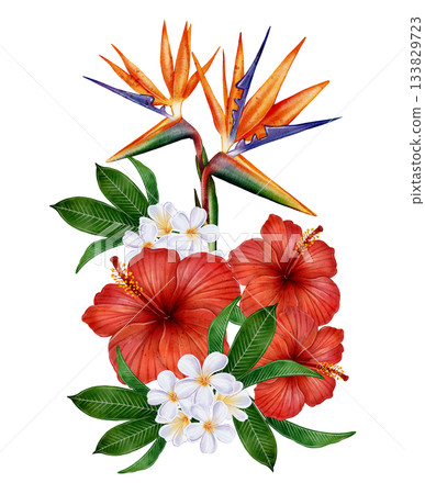 Tropical Watercolor Floral Bouquet 133829723