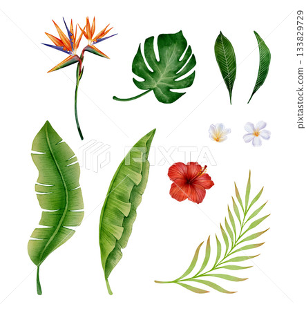 Tropical Leaves and Flowers Watercolor Set 133829729