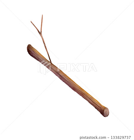 Wooden Stick Watercolor Illustration 133829737
