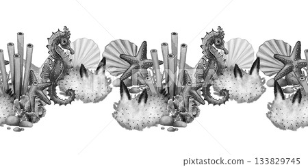 Seamless seahorse marine border Seamless seahorse marine border 133829745