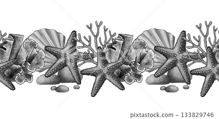 Seamless marine starfish border Seamless marine starfish border 133829746