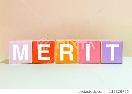 Merit MERIT Merit MERIT 133829755