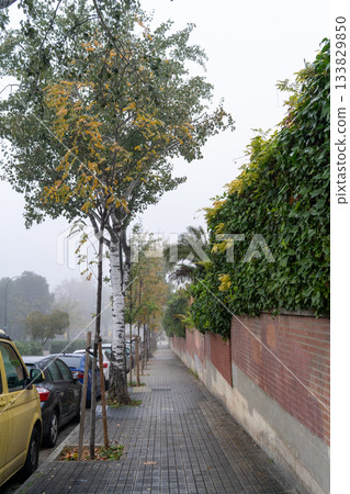 A very foggy day on a city street A very foggy day on a city street 133829850