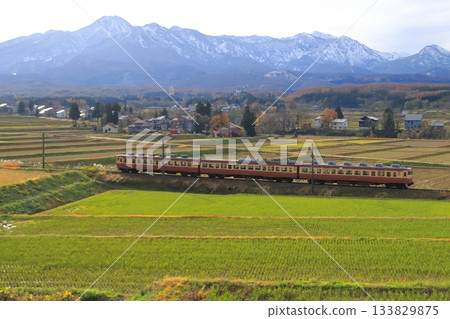 越後心跳鐵道455系和413系列車疾馳而過，背景是雄偉的北阿爾卑斯山脈（照片拍攝於2025年11月23日） 133829875