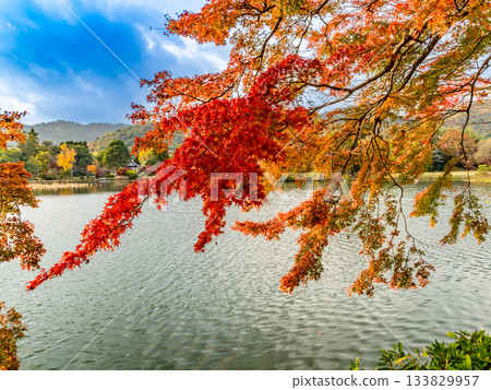 Osawa Pond area colored by autumn leaves Osawa Pond area colored by autumn leaves 133829957