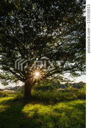 璀璨的夜景 133830013