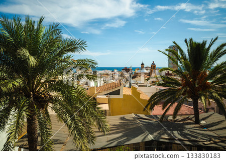 Alicante city view with palm trees, old rooftops, and the blue Mediterranean Sea in the background on a bright sunny day. Alicante city view with palm trees, old rooftops, and the blue Mediterranean Sea in the background on a bright sunny day. 133830183