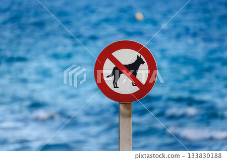 No dogs allowed sign near the seaside in Calpe, Spain, with blue ocean water in the background 133830188