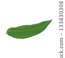 Bamboo leaves for cooking on which food is placed 133830308