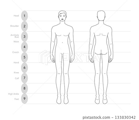 Vector illustration of a 9 head man, displaying multiple angles including front and back. Perfect for fashion sketches, 133830342