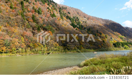 Mogami River Boat Ride: A quiet sightseeing boat descends the river in Yamagata Prefecture 133830721
