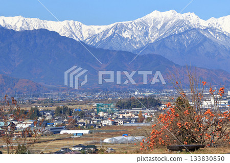 Azumino in late autumn: Persimmons and the Northern Alps Azumino in late autumn: Persimmons and the Northern Alps 133830850