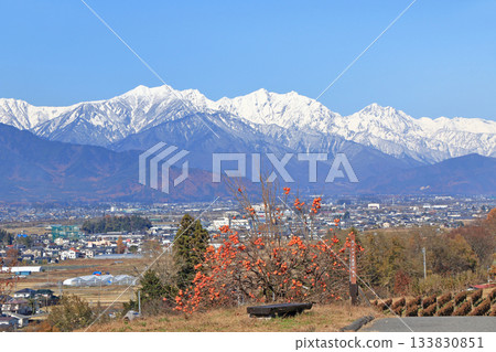 Azumino in late autumn: Persimmons and the Northern Alps Azumino in late autumn: Persimmons and the Northern Alps 133830851