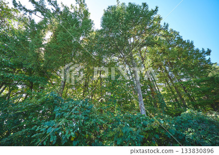 Aerial photography of nature 133830896