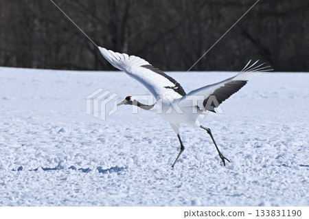 日式起重機 日式起重機 133831190
