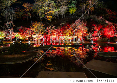 宮城縣松島的秋葉 133831543