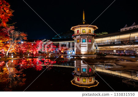 宮城縣松島的秋葉 133831550