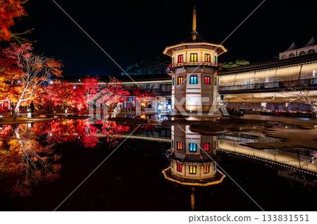 宮城縣松島的秋葉 133831551