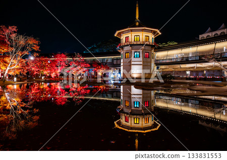 Autumn leaves in Matsushima, Miyagi Prefecture Autumn leaves in Matsushima, Miyagi Prefecture 133831553