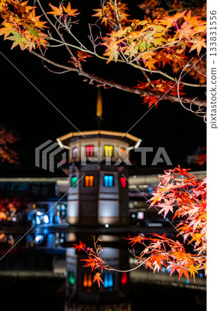 宮城縣松島的秋葉 133831556