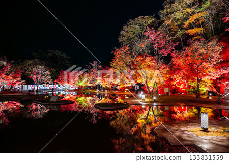 宮城縣松島的秋葉 133831559