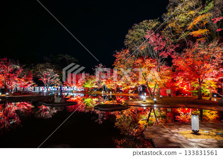 宮城縣松島的秋葉 133831561