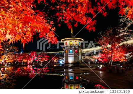 宮城縣松島的秋葉 133831569