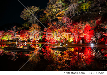 宮城縣松島的秋葉 133831584