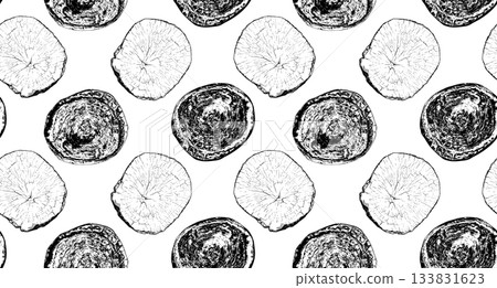Wood cross section 133831623