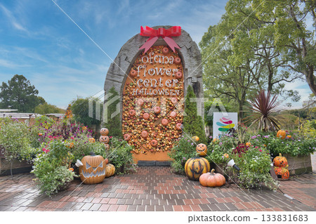 Halloween decorations at Ofuna Flower Center Halloween decorations at Ofuna Flower Center 133831683