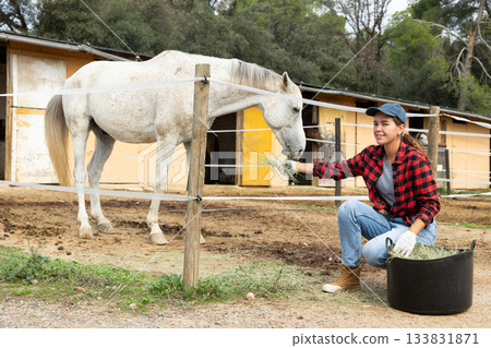 Female worker stands near street corral with basket of hay and feeds horse. Female worker stands near street corral with basket of hay and feeds horse. 133831871