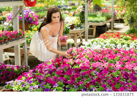Woman choosing potted petunia flowers at flower market Woman choosing potted petunia flowers at flower market 133831875