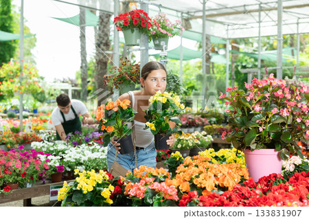 Before buying, woman examines flower of begonia hiemalis at flowers market Before buying, woman examines flower of begonia hiemalis at flowers market 133831907