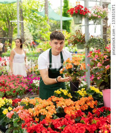 Smiling salesman looking at begonia hiemalis in open air plants market Smiling salesman looking at begonia hiemalis in open air plants market 133831971