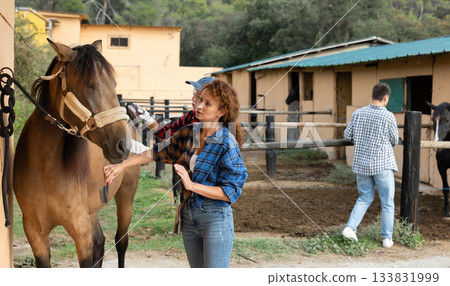 Two female workers in plaid shirt combs tethered horse in stable. 133831999