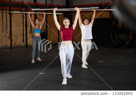 Slender girl trains muscles of arms and back using barbell and differentiated weighting in gym Slender girl trains muscles of arms and back using barbell and differentiated weighting in gym 133832005