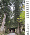 長野縣戶隱神社，四周綠樹環繞，景色神秘迷人。 133832232