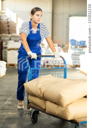 In warehouse of store, loader young woman pushes and carries large cart for bulky cargo 133832238