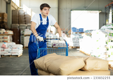 In warehouse of store, stevedore loader young man pushes and carries large cart for bulky cargo 133832255
