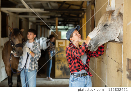Female owner of horse visits animal in stable, strokes its muzzle, Female owner of horse visits animal in stable, strokes its muzzle, 133832451