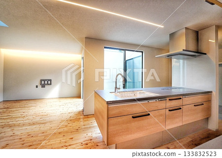 Stylish living of a pet living designer house 133832523