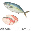 黃尾魚和黃尾魚片水彩鉛筆插圖 133832529