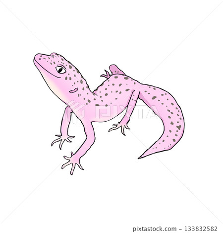 A realistic and cute color illustration of a leopard gecko. 133832582