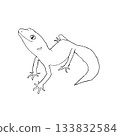 A realistic and cute monochrome illustration of a leopard gecko. Black and white. Leopard gecko. 133832584