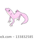 A realistic and cute color illustration of a leopard gecko. 133832585