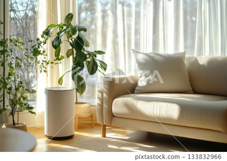 Cozy Living Room with Modern Sofa and Indoor Plant Bathed in Sunlight 133832966