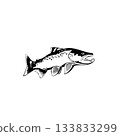 Leaping Fish vector Illustration Monochrome 133833299