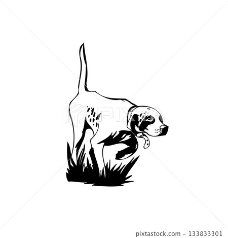 vector Monochrome Pointing Dog Illustration vector Monochrome Pointing Dog Illustration 133833301