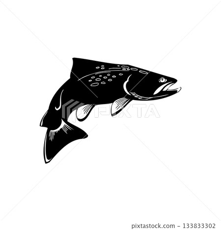 Leaping Fish vector Illustration Monochrome Leaping Fish vector Illustration Monochrome 133833302